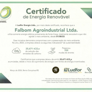 Certificado de Energia Renovável